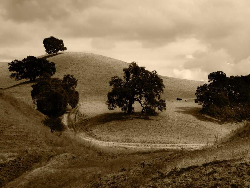 sudoku skill improvement screenshot 3