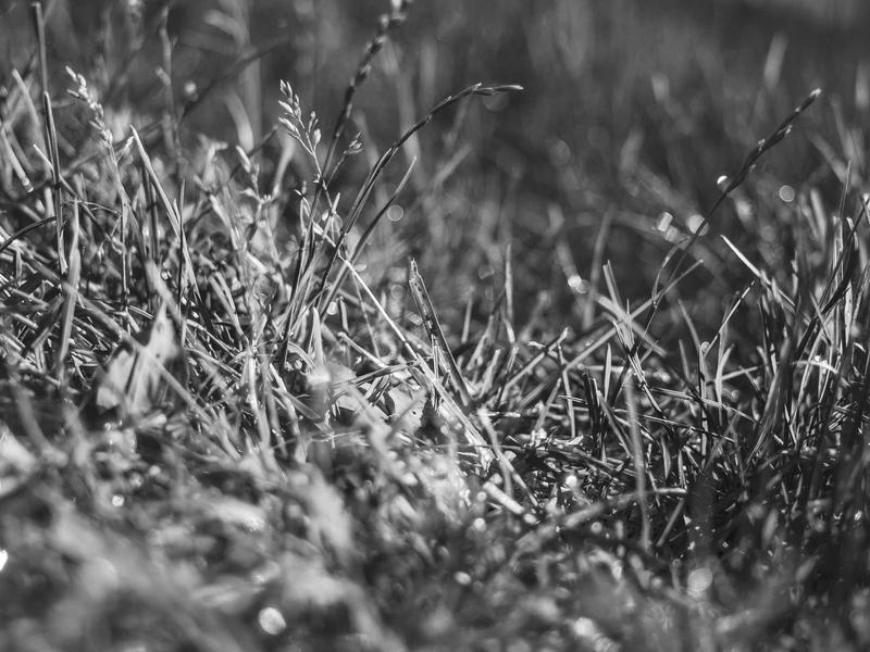 sudoku skill improvement